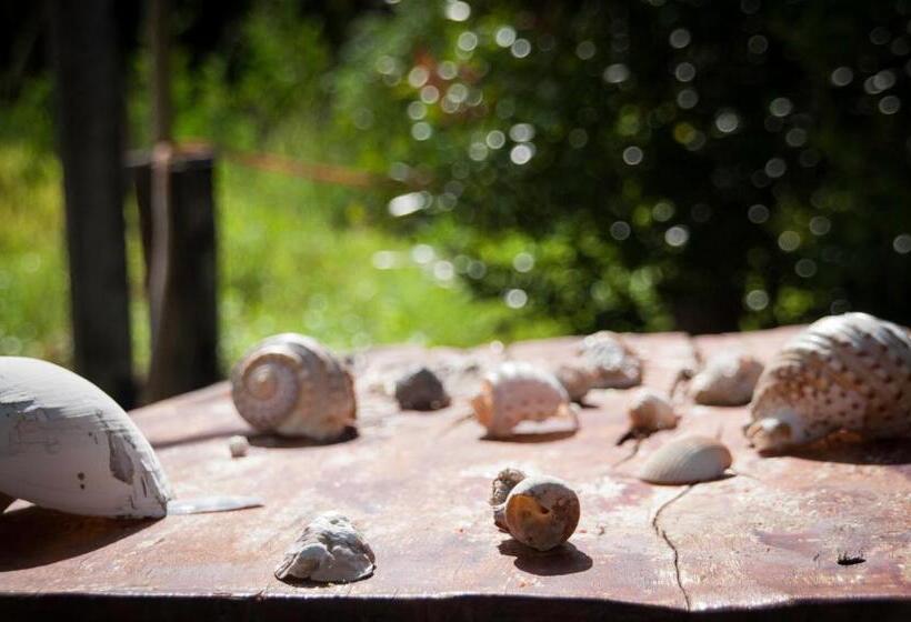 פנסיון Koko De Rasta Coffee Lazy House