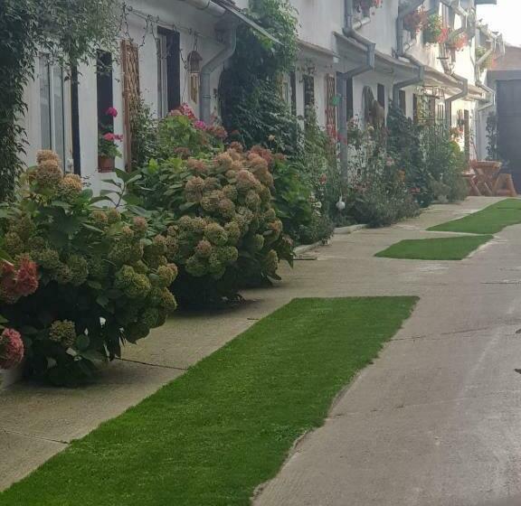 Pensiunea Casa Munteanu Râșnov