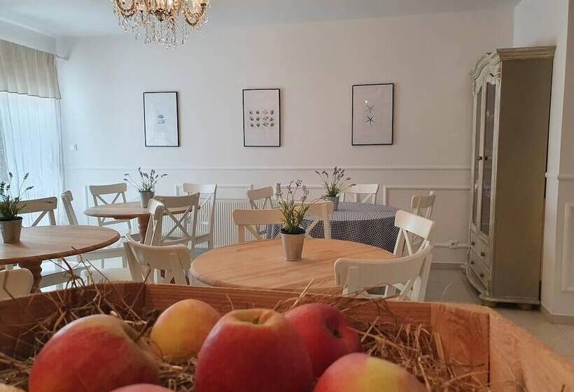 酒店 Apartamenty Morskie Historie 365pam