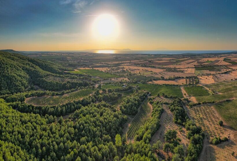 فندق Bengodi Boutique