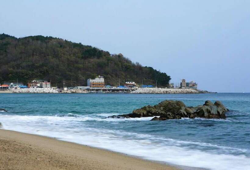 酒店 Daeheungho Daege Pension
