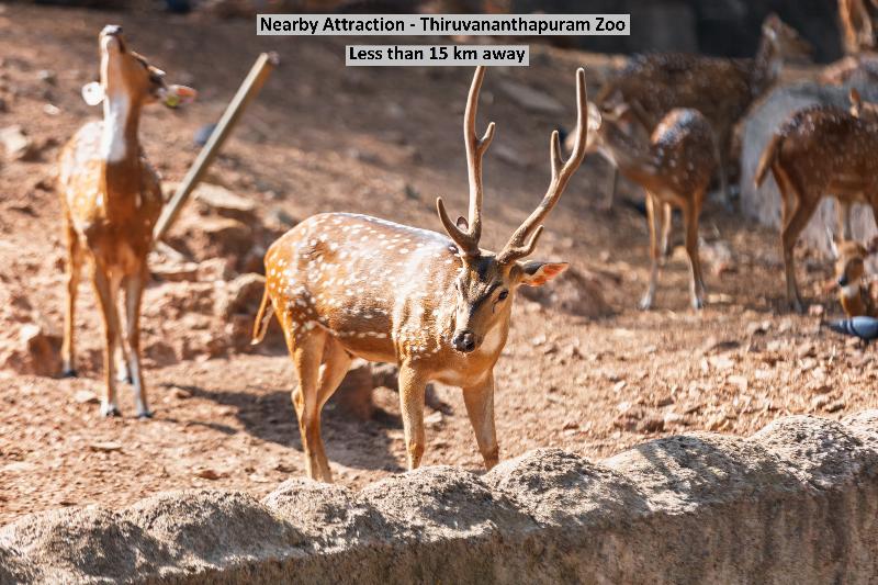 فندق Four Squares Inn By Oyo Rooms