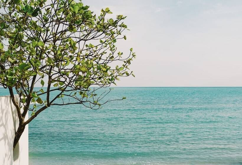 בית מלון כפרי Kimpton Kitalay Samui, An Ihg