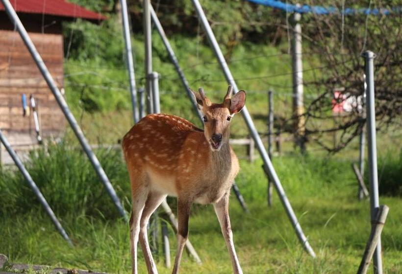 호텔 Miyama Nature And Culture Village Kajikaso