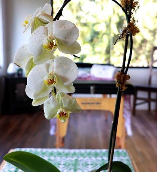 Сельский отель Casa Xaa