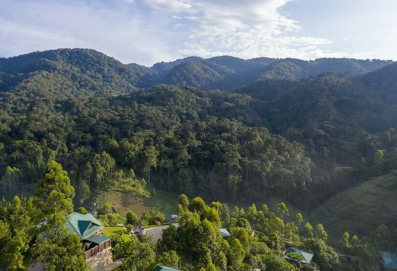 هتل Rushaga Gorilla Lodge