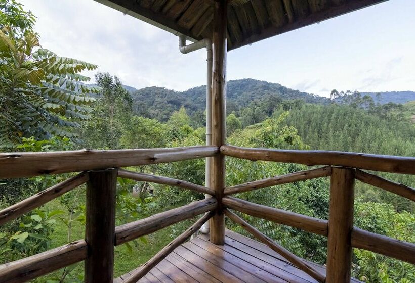 هتل Rushaga Gorilla Lodge
