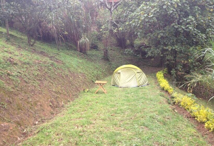 هتل Rushaga Gorilla Lodge