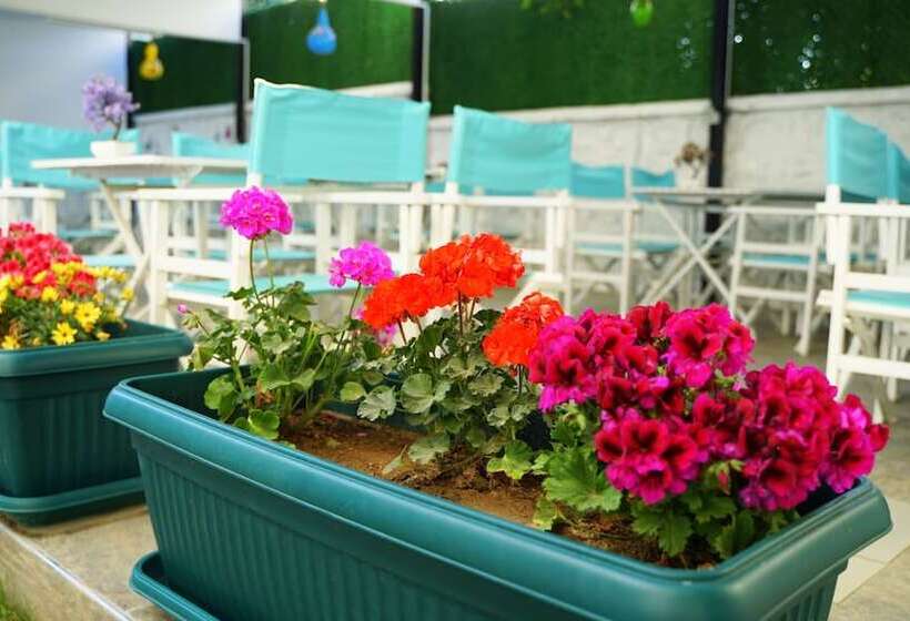 Talles Comfort Butik Otel