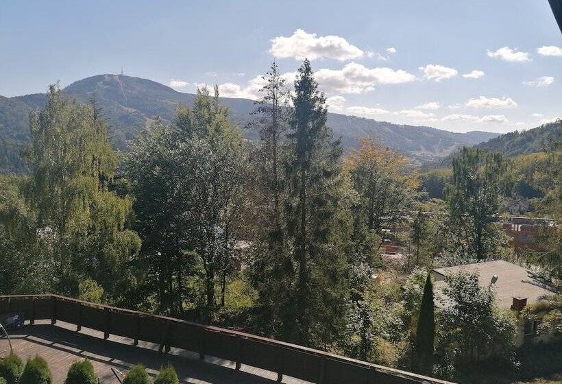 هتل Willa Pod Orłem