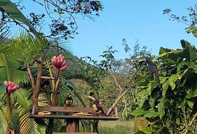 فندق Yellow Tree Suites