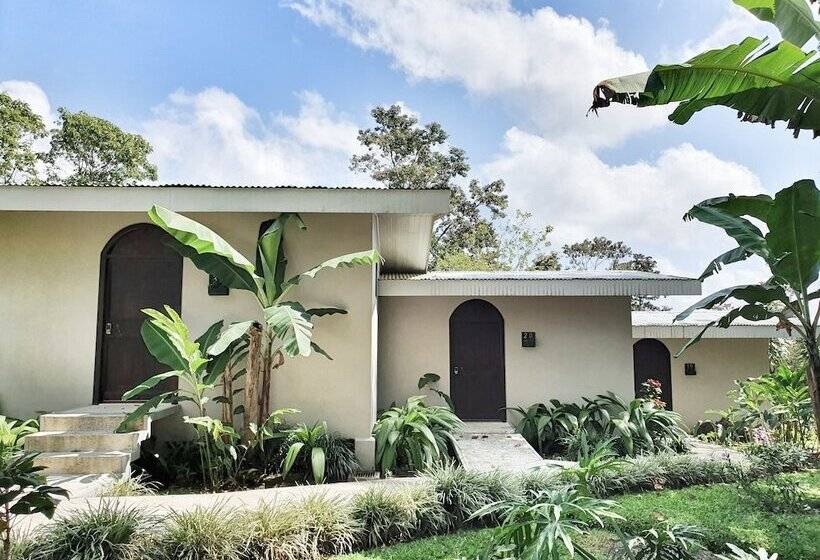 فندق Yellow Tree Suites