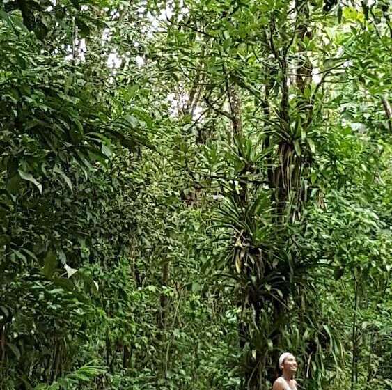 فندق Yellow Tree Suites