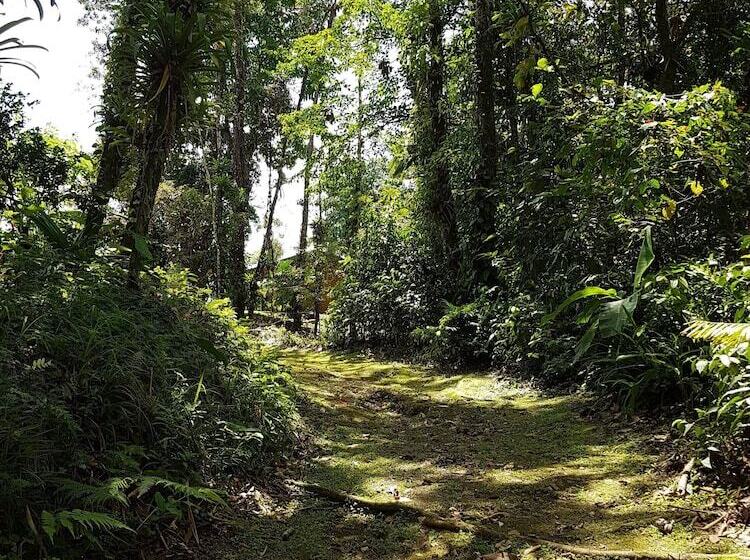 فندق Yellow Tree Suites