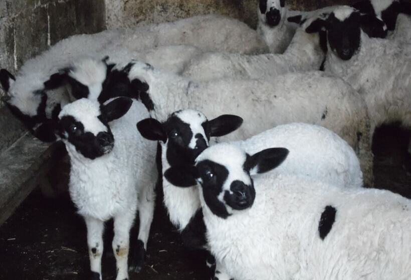 Laila Otel  Karaburun