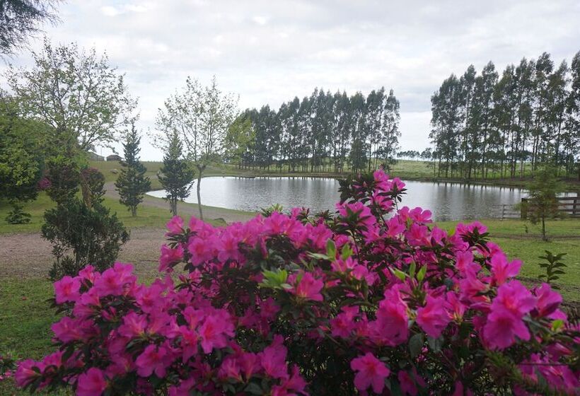 فندق Aires De Patagônia Pousada