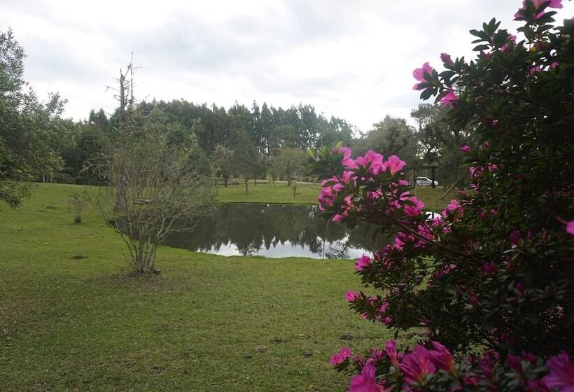 ホテル Aires De Patagônia Pousada
