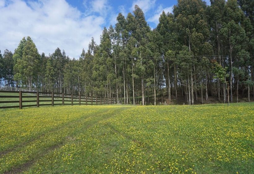 ホテル Aires De Patagônia Pousada