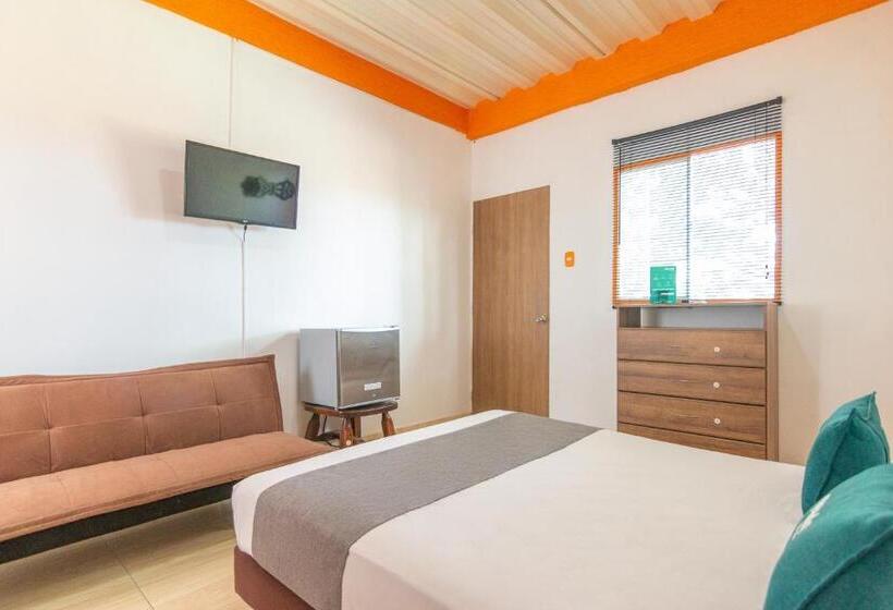 ホテル Ayenda Brisas Del Caribe