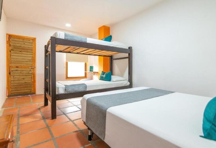 ホテル Ayenda Brisas Del Caribe