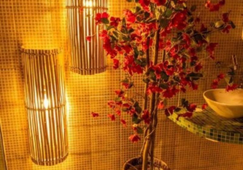 בית מלון כפרי Pousada Terra Encantada