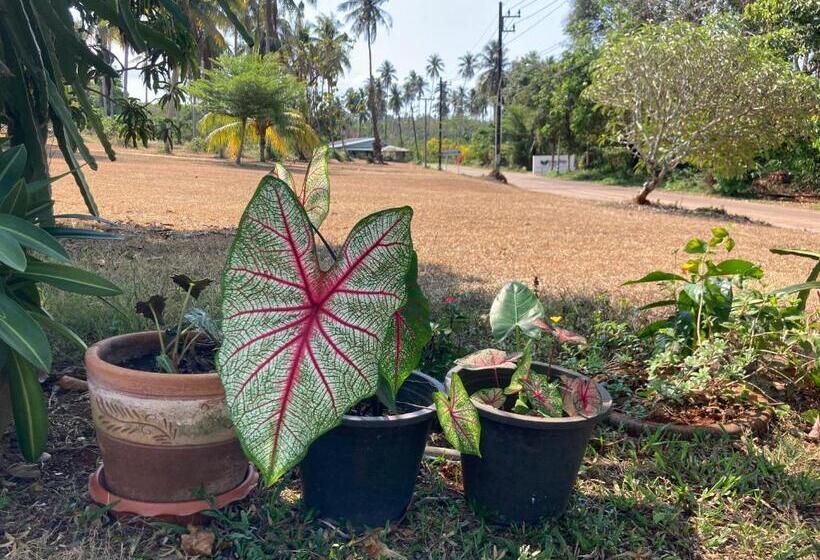 酒店 Koh Mak Homestay