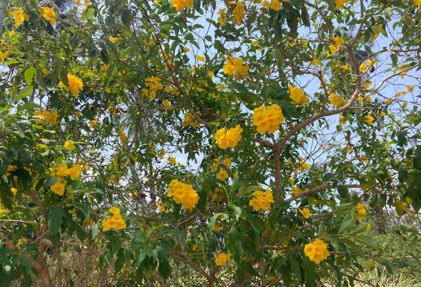 בית מלון כפרי Koh Mak Homestay