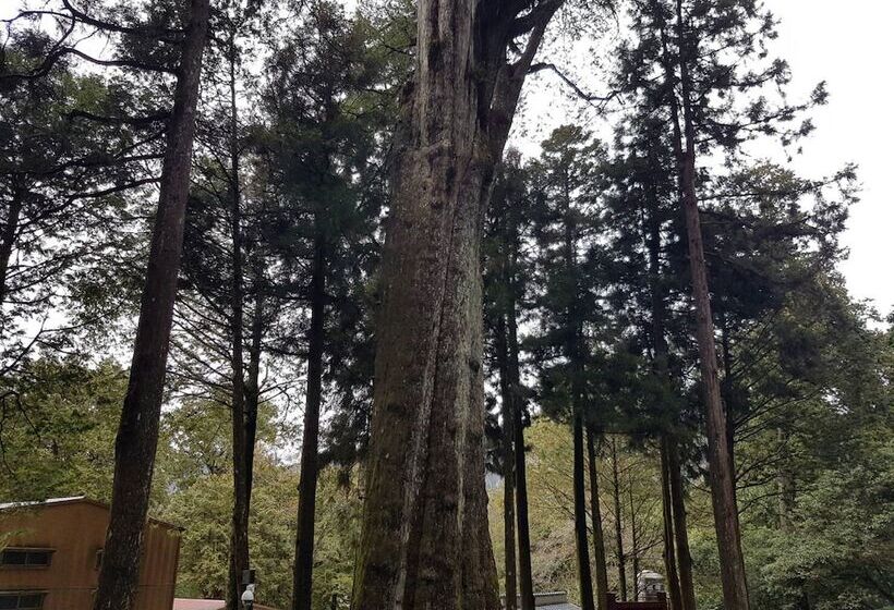 ホテル Ming Yang B&b