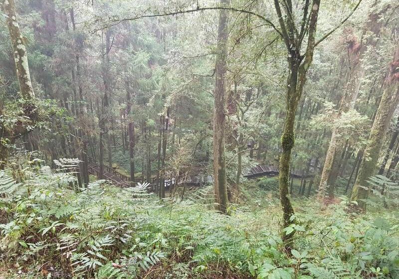 هتل Ming Yang B&b