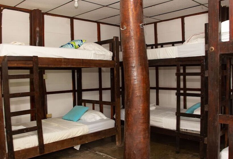 호텔 Playa Hermosa Ecolodge