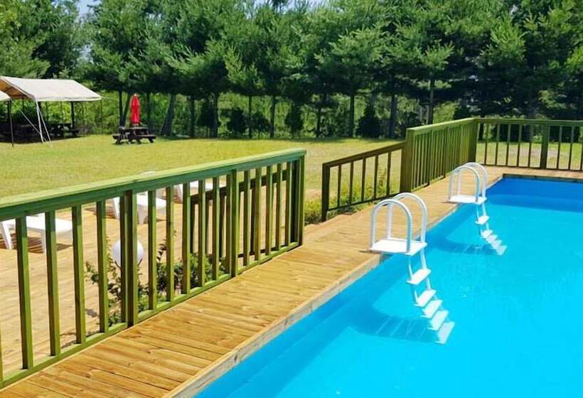 בית מלון כפרי Yangyang See Star Donghae