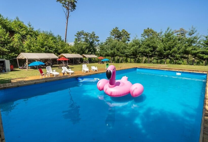 בית מלון כפרי Yangyang See Star Donghae