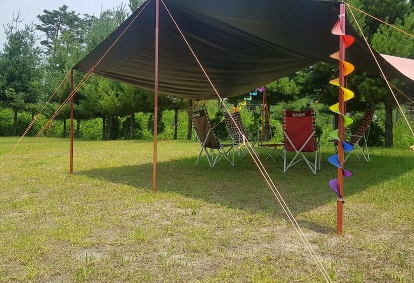 בית מלון כפרי Yangyang See Star Donghae