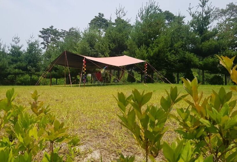 בית מלון כפרי Yangyang See Star Donghae