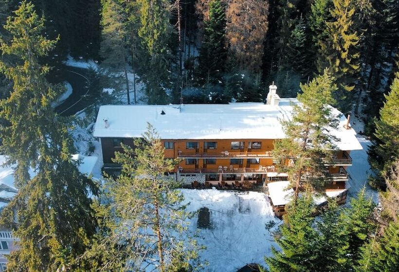 Ski Hotel Katerina