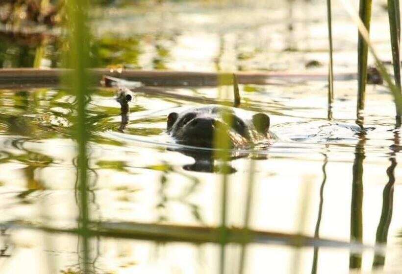 호스텔 Gościniec Biebrzański