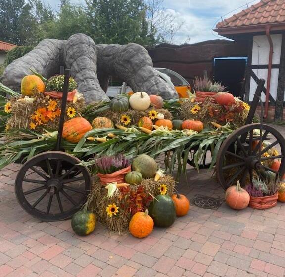 ユースホステル Noclegi Jurapark Krasiejów
