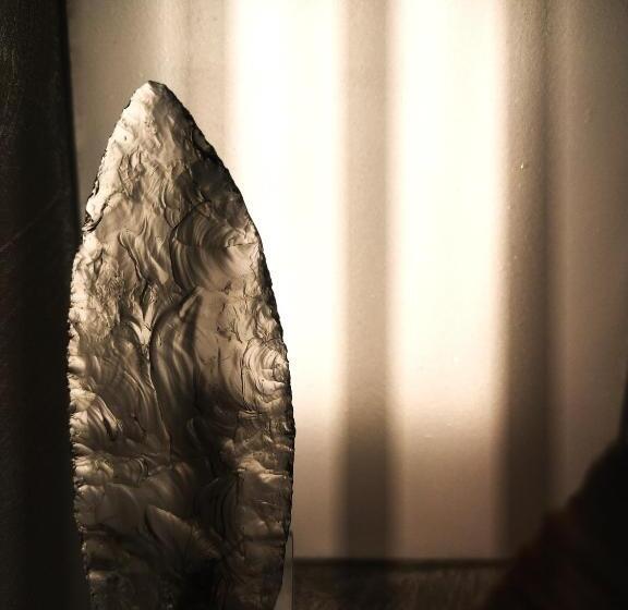 ユースホステル Noclegi Jurapark Krasiejów