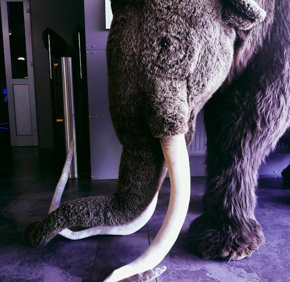 הוסטל Noclegi Jurapark Krasiejów