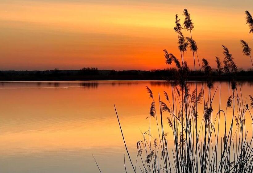 Aparthotel W Dolinie Stawów Zator By Housine