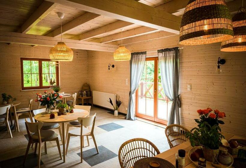 Bed and Breakfast Brzozowy Gaj