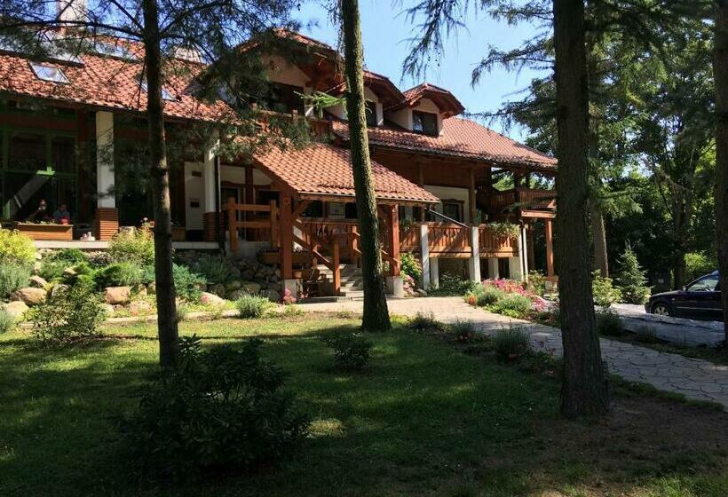 Bed and Breakfast Stajnia Sarnówek Nad Jeziorem Różany