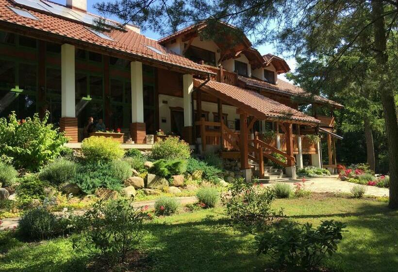 Bed and Breakfast Stajnia Sarnówek Nad Jeziorem Różany