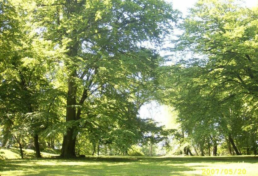 Bed and Breakfast Zamek Rynkówka