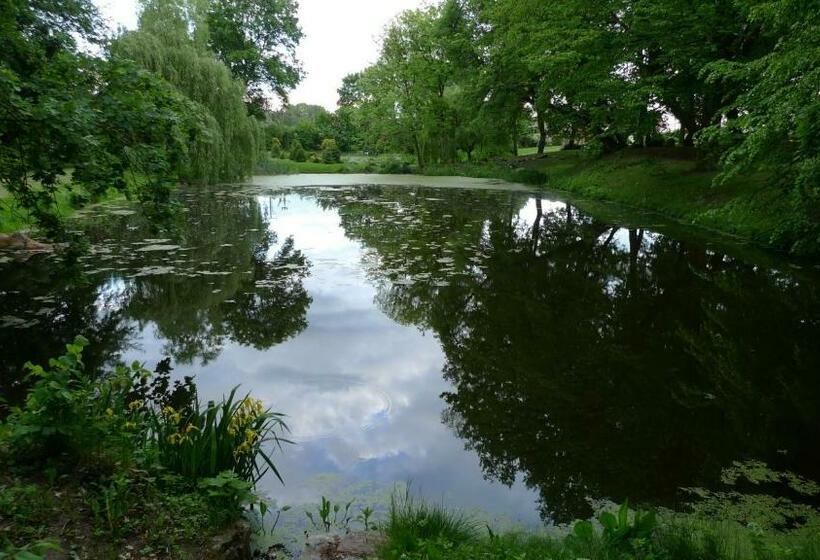Bed and Breakfast Zamek Rynkówka