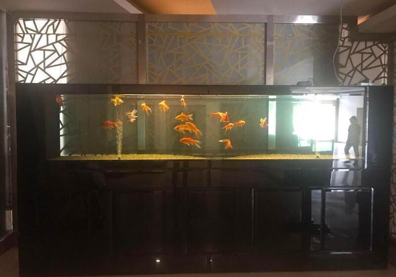 酒店 7 Days Premium Baoding Zhuozhou Development Zone