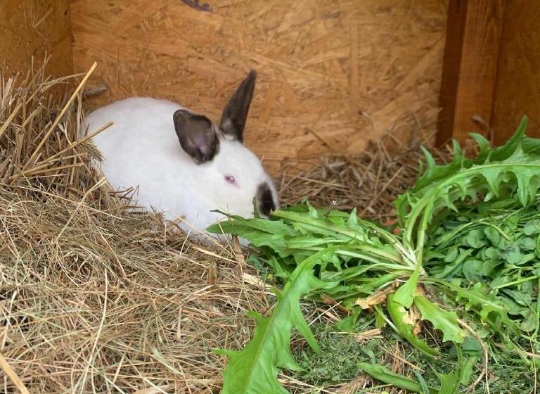 ホテル Agro Na Wapniarni