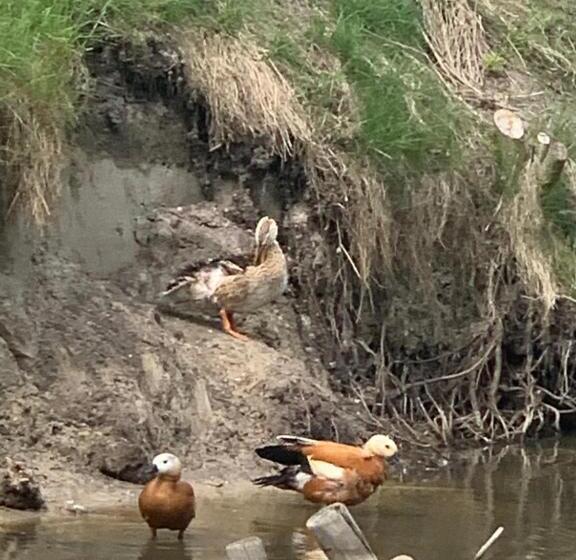 ホテル Agro Na Wapniarni