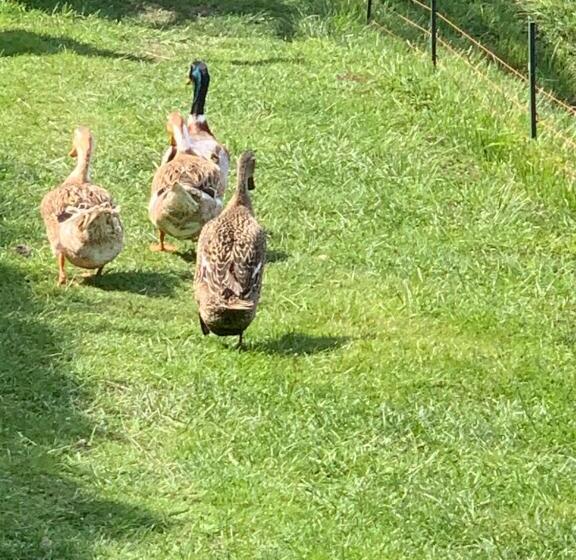 ホテル Agro Na Wapniarni