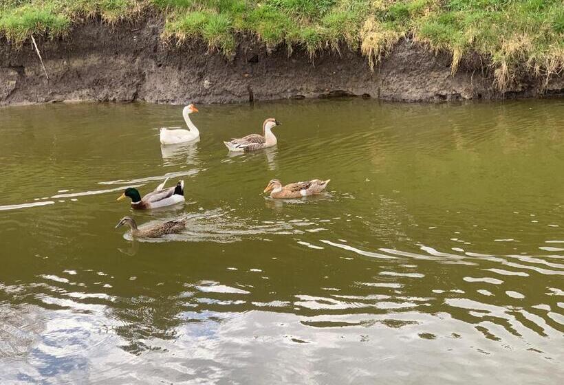 בית מלון כפרי Agro Na Wapniarni